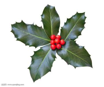 ͥŲ̳С߷񷨵˾