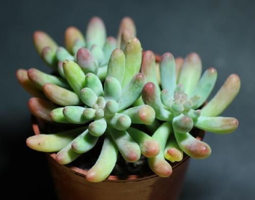 ޵ǵ1 ڹ˹Ǻ˵վݹر