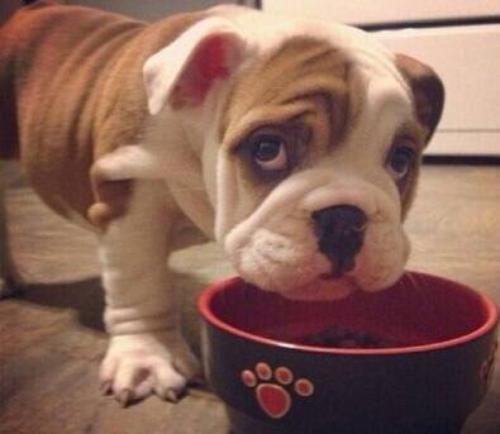 ýعɫҵܺ˱鲼ȫ